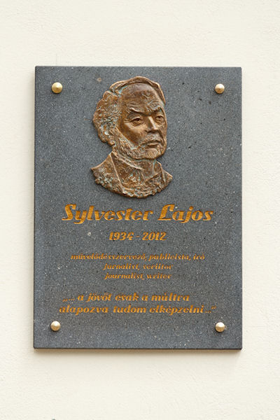 Sylvester Lajos nevét viseli a könyvtár